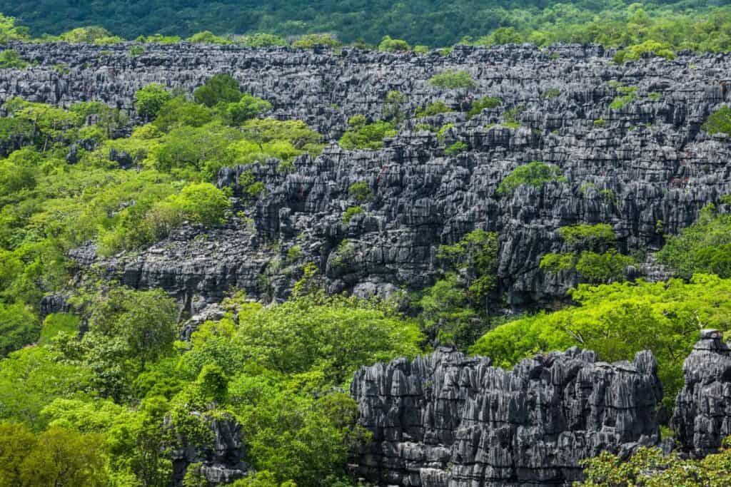 Madagascar