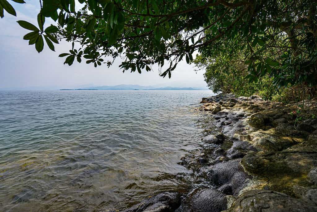 Lake Kivu