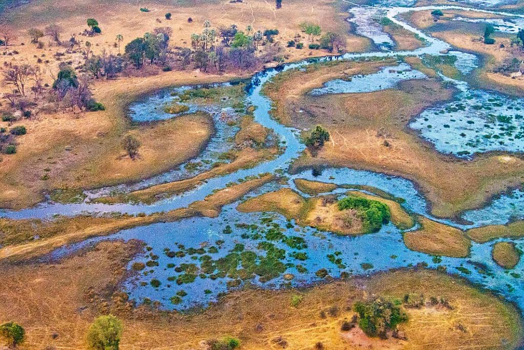 Okavango Delta